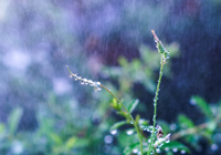 福建特大暴雨来袭！多地紧急发布停课通知，家长速看！
