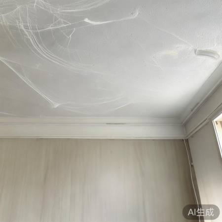 新型管道藏顶除蛛网